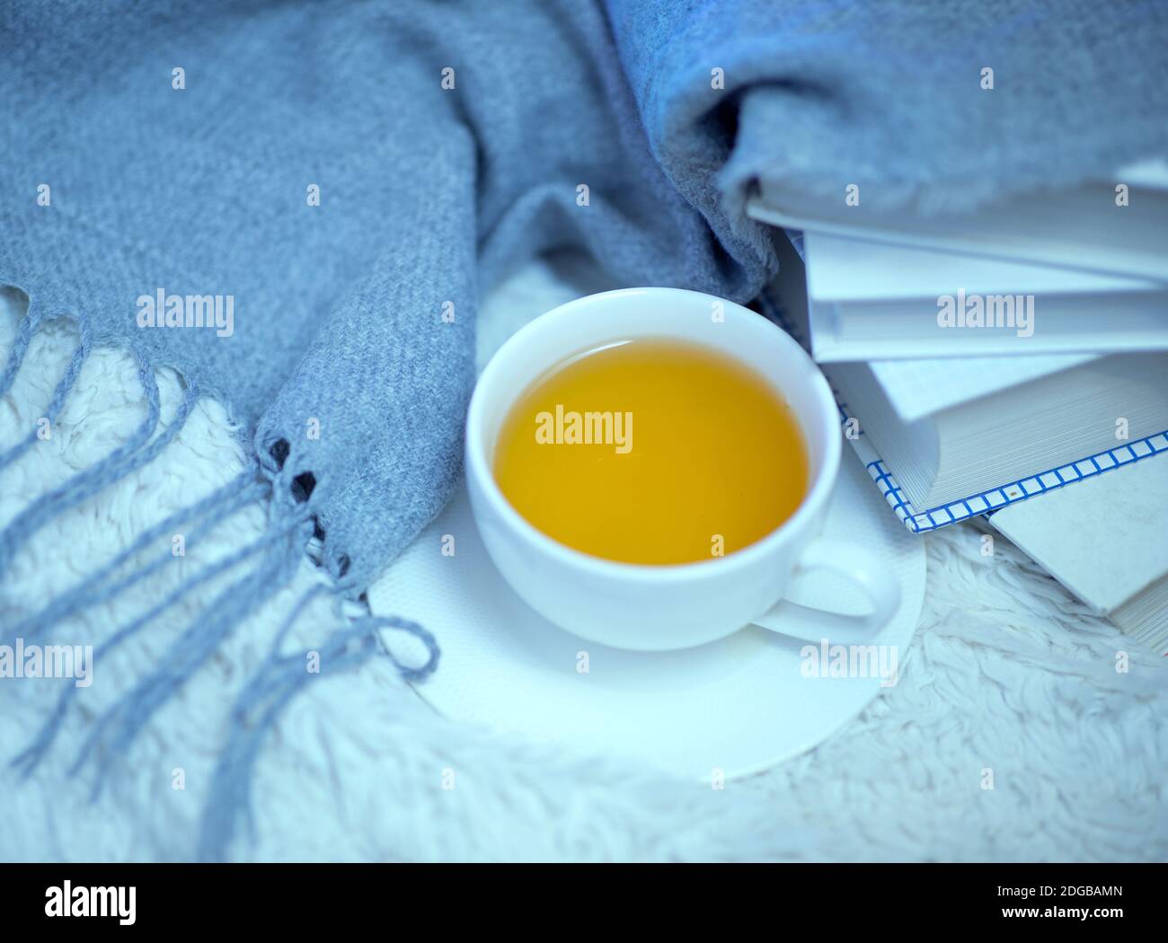 A cup of green tea, books and a woolen warm knitted blanket on the bed. Time for reading and tea at home Stock Photo