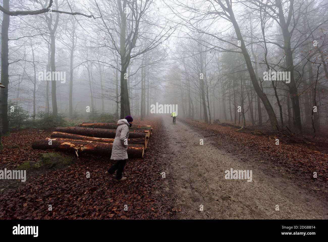 Frau im Deister Nordmannsturm. Stock Photo