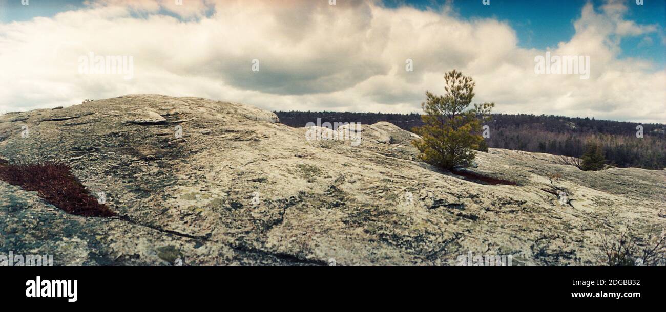 Trees and boulders along the Gertrude's Nose, Minnewaska State Park, Catskill Mountains, New York State, USA Stock Photo