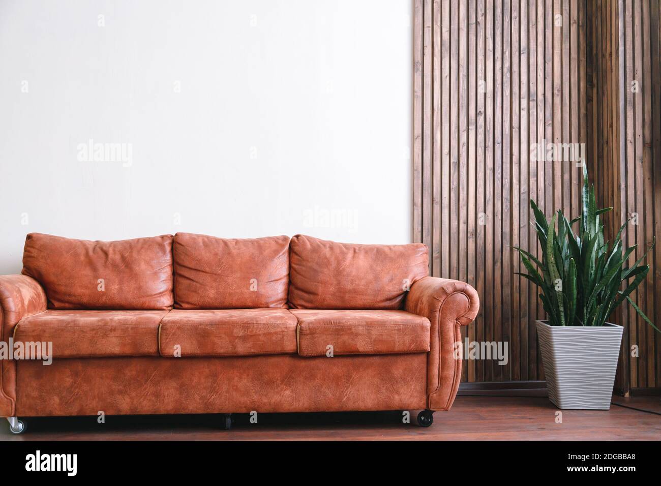 Orange leather sofa with with white wall in background with home plant