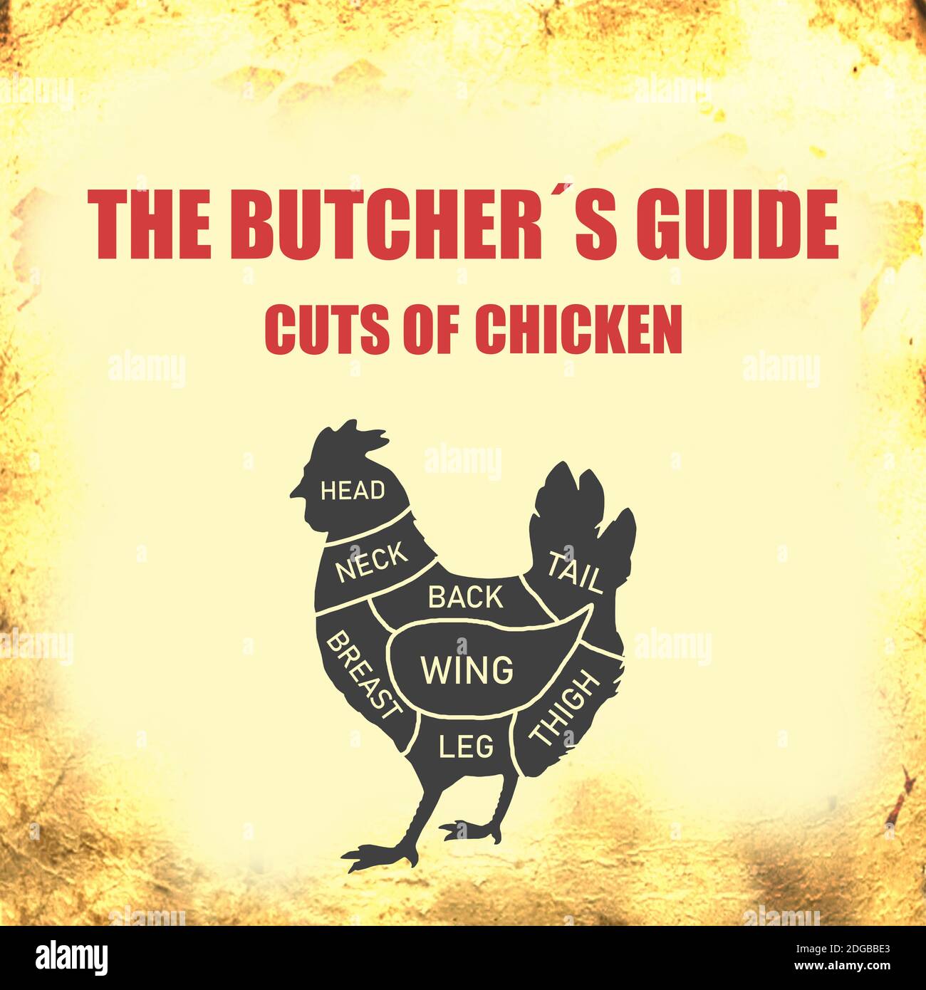 Chicken Cut of meat . Butcher diagram, schemem Stock Photo Alamy