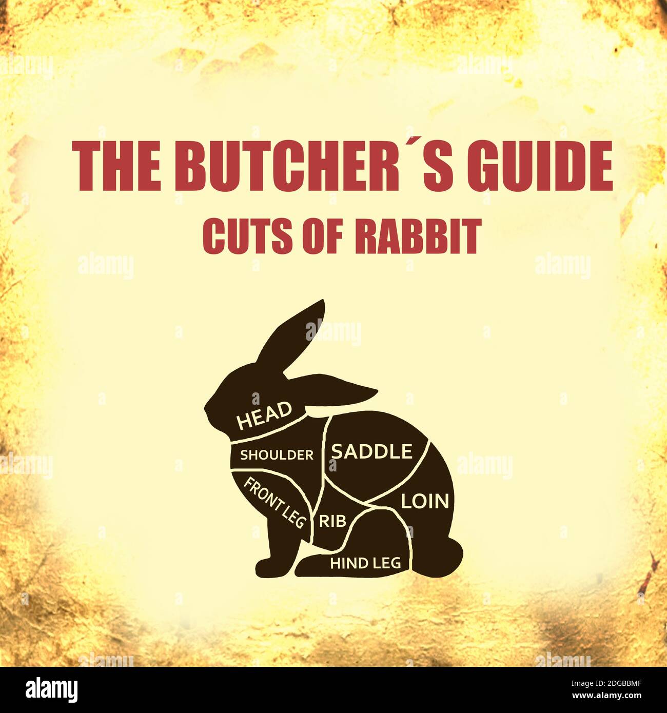 Rabbit Cut of meat . Butcher diagram, schemem Stock Photo Alamy