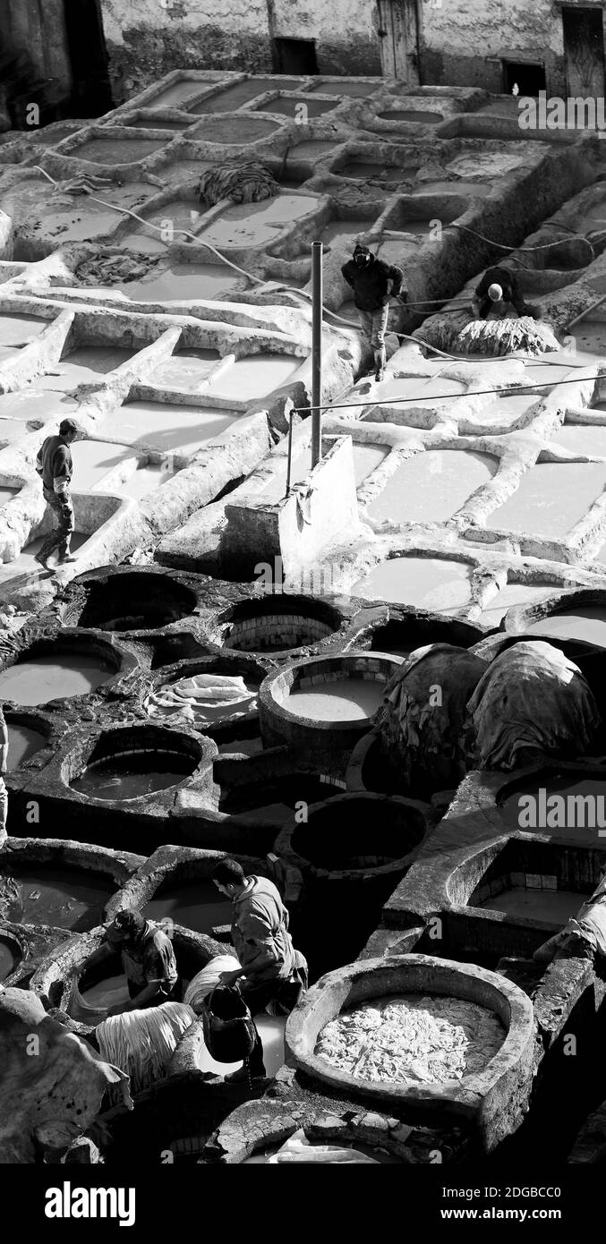 In morocco africa the antique tannery Stock Photo