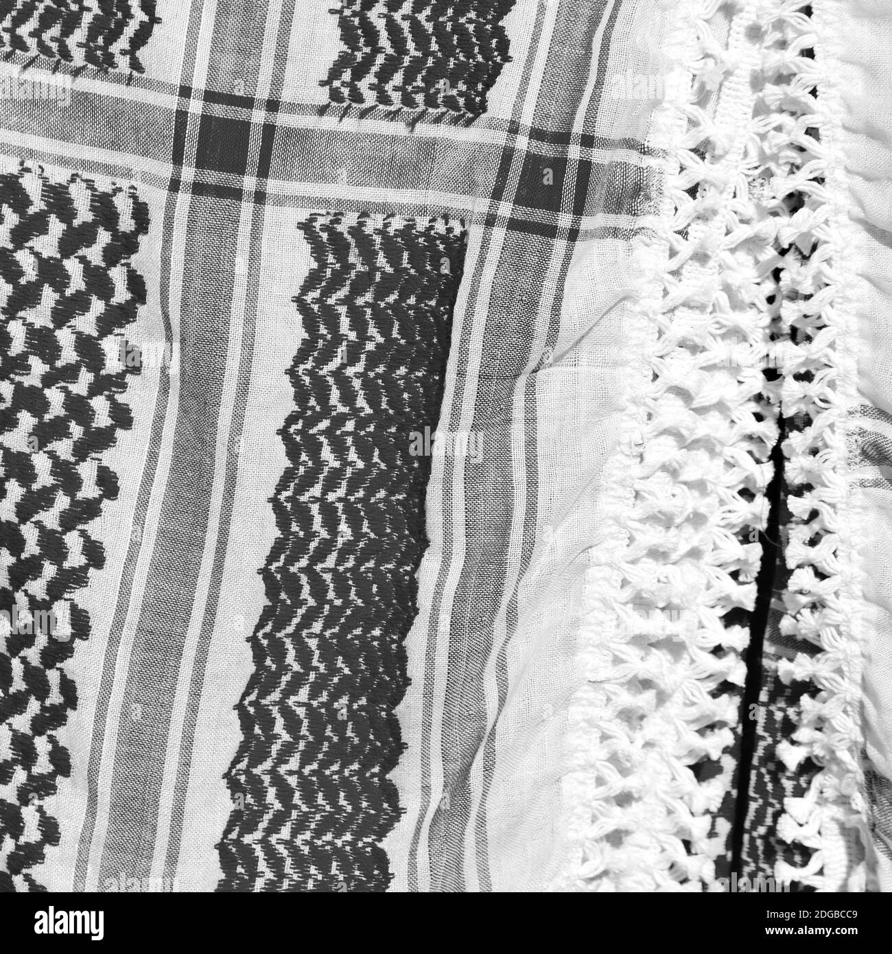 Background Texture, Pattern. Scarf Wool Like Yasir Arafat. The
