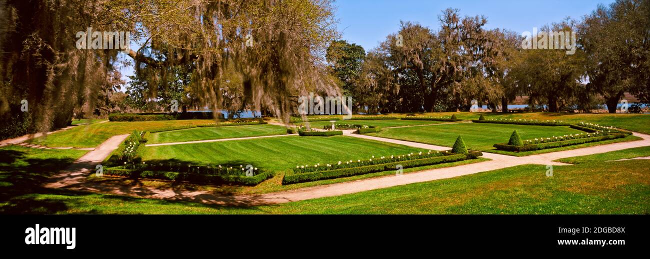 Spanish Moss covered trees in a garden, Middleton Place, Charleston