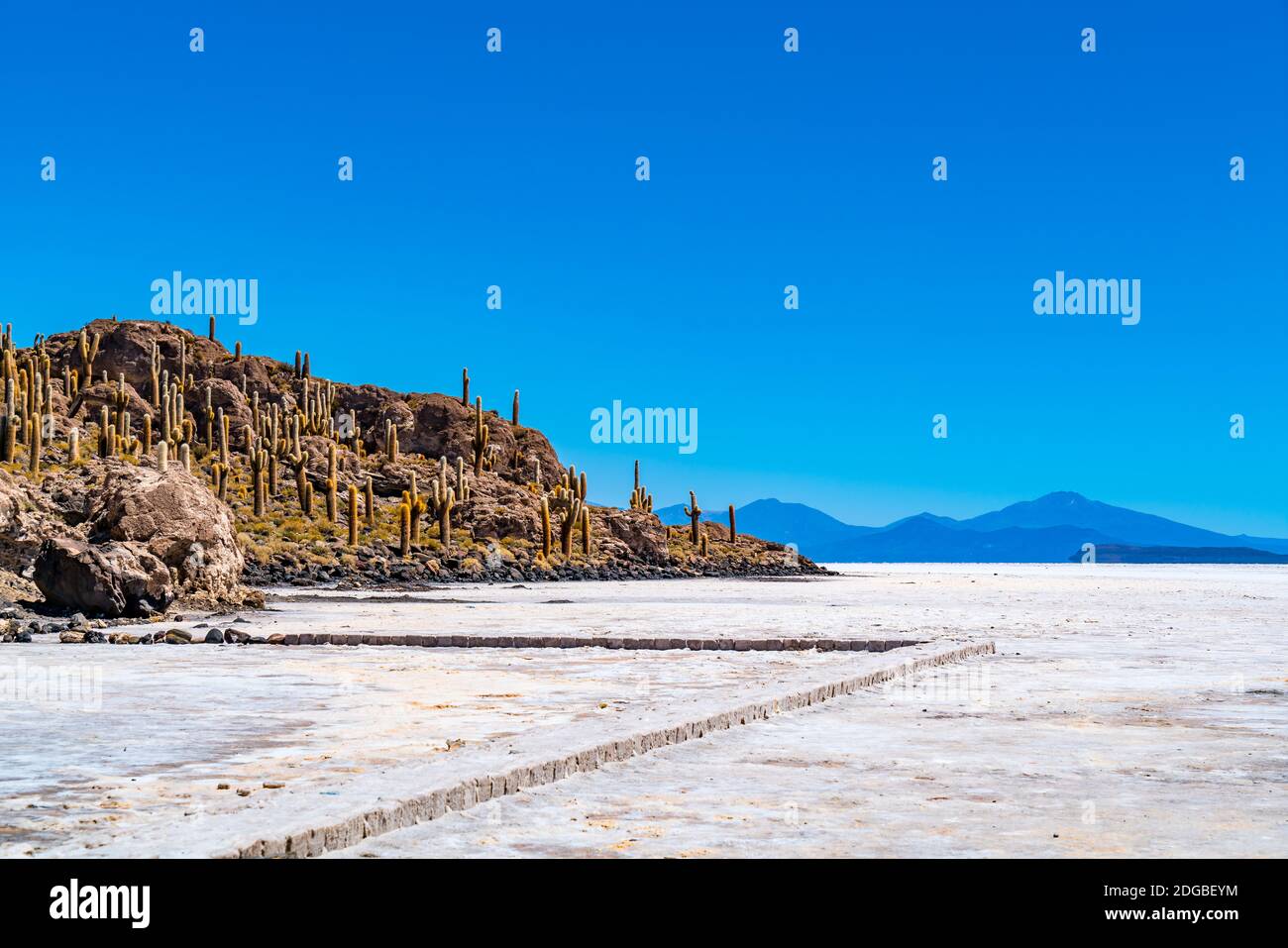 View of Incahuasi Island or Cactus Island in Uyuni Salt Flat Stock Photo