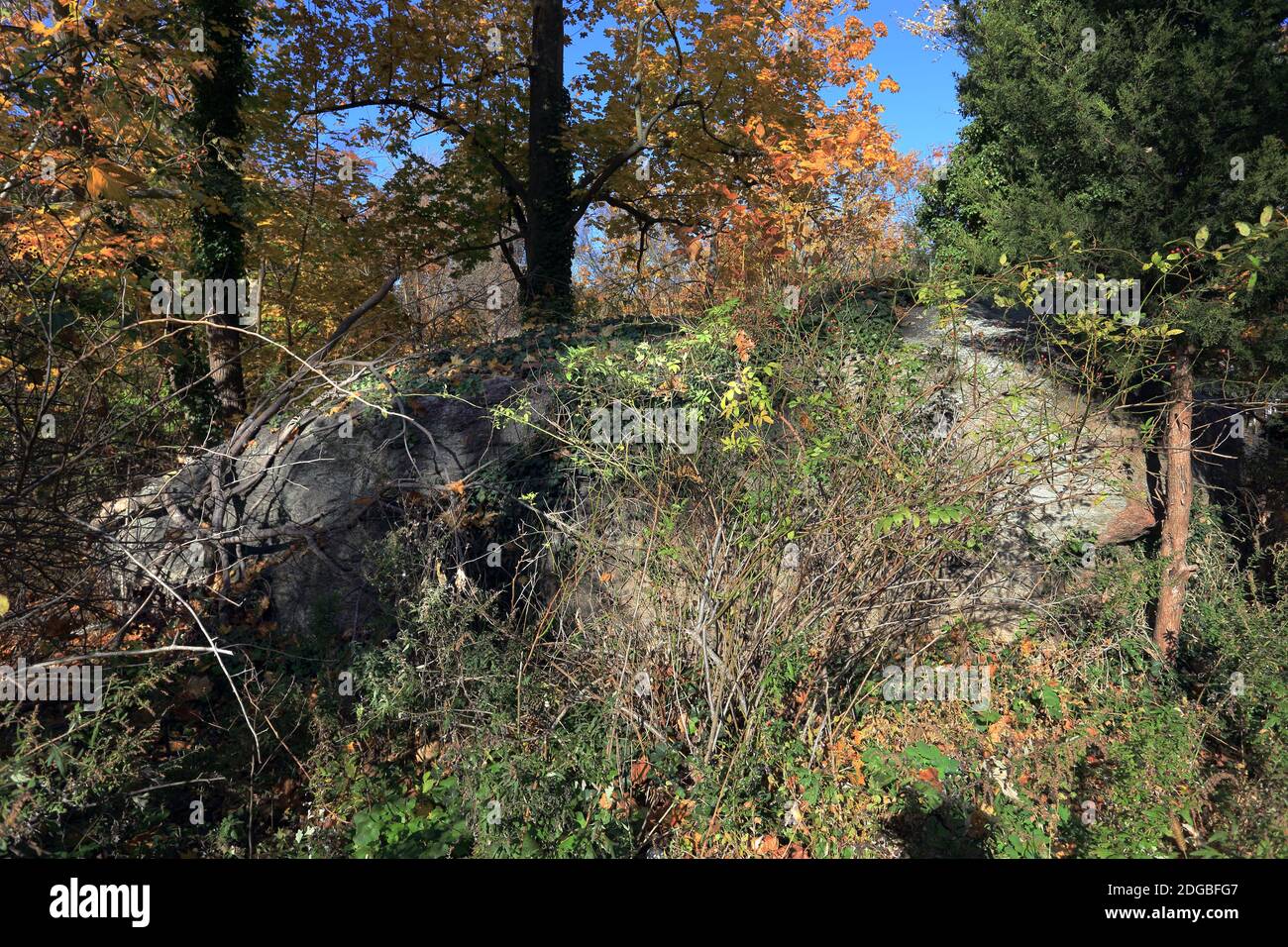Indian rock hi-res stock photography and images - Alamy