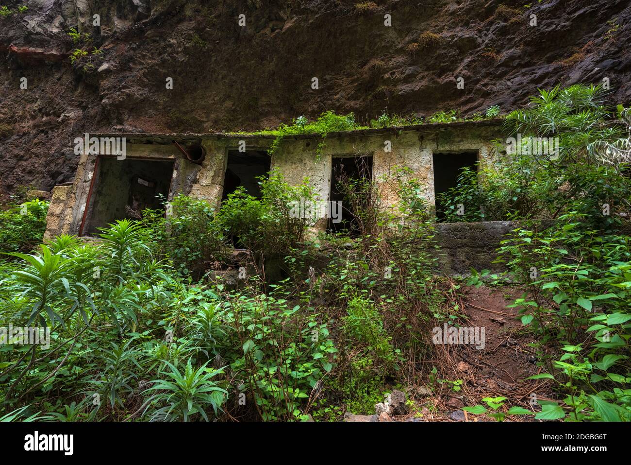 Abandoned houses in tropical forest Badajoz canyon Barranco de Badajoz Tenerife, Canary islands, Spain. Stock Photo