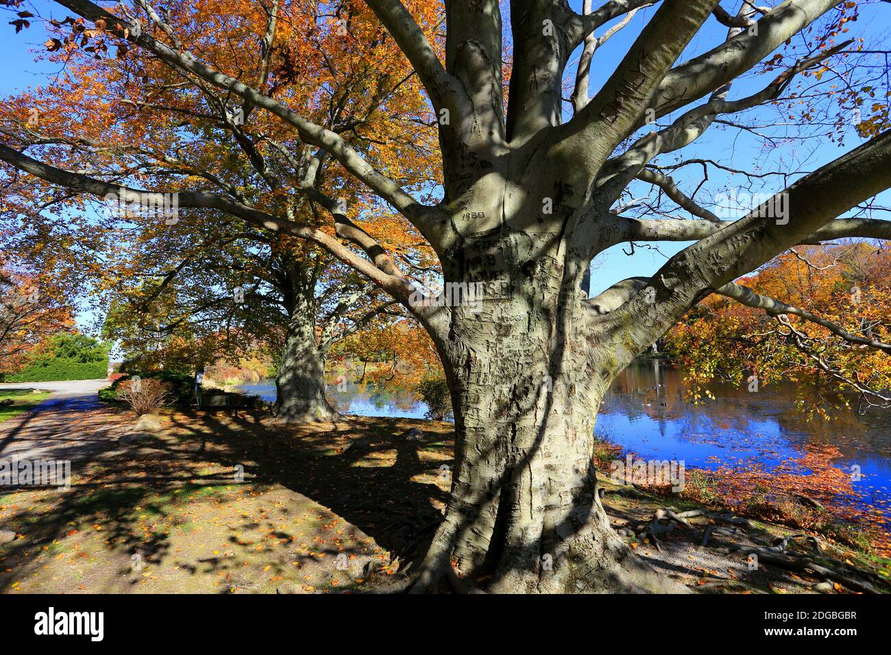 Frank Melville Memorial Park Setauket Long Island Stock Photo Alamy