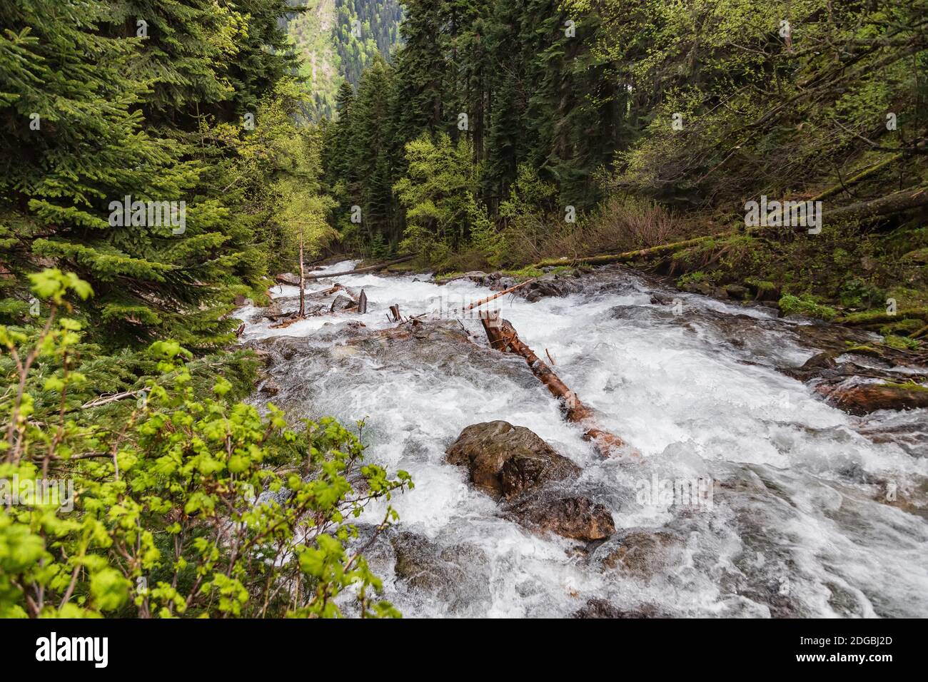 Stormy mountain river goes down into the valley immediately after the waterfall Stock Photo