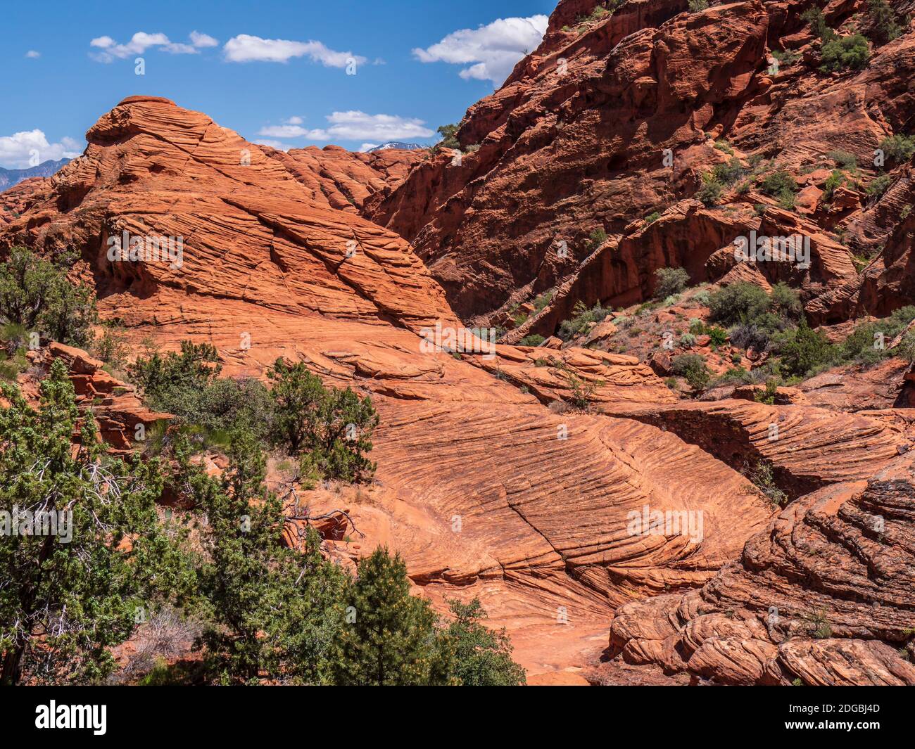 Cross-bedded sandstone, Padre Canyon Trail, Snow Canyon State Park ...