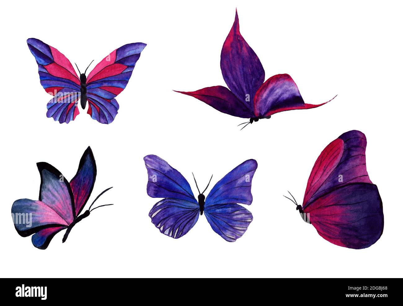 watercolor butterflies on a transparent background Stock Photo - Alamy