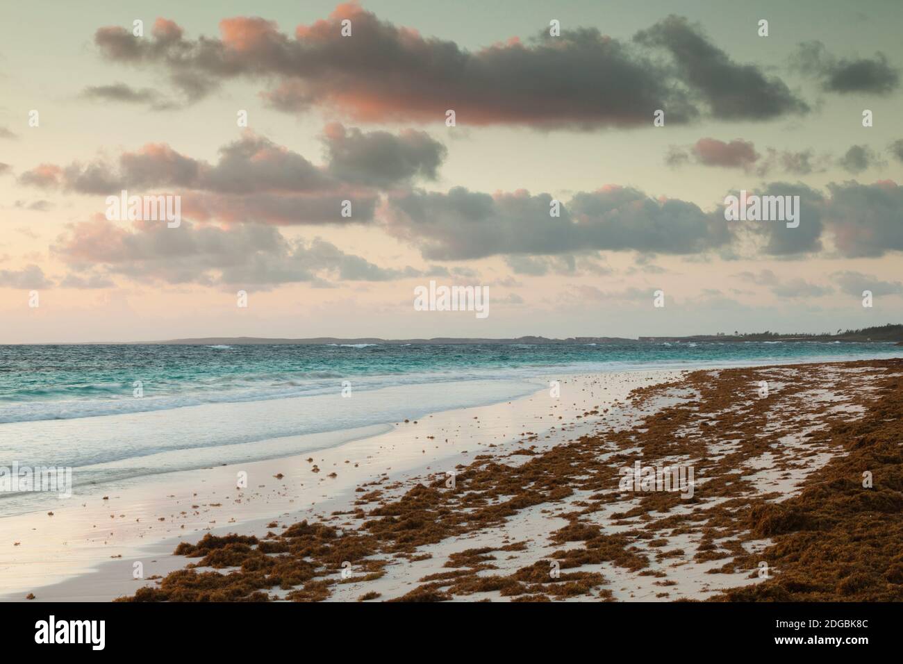 Elevated view of Pink Sands Beach, Dunmore Town, Harbour Island, Eleuthera Island, Bahamas Stock Photo