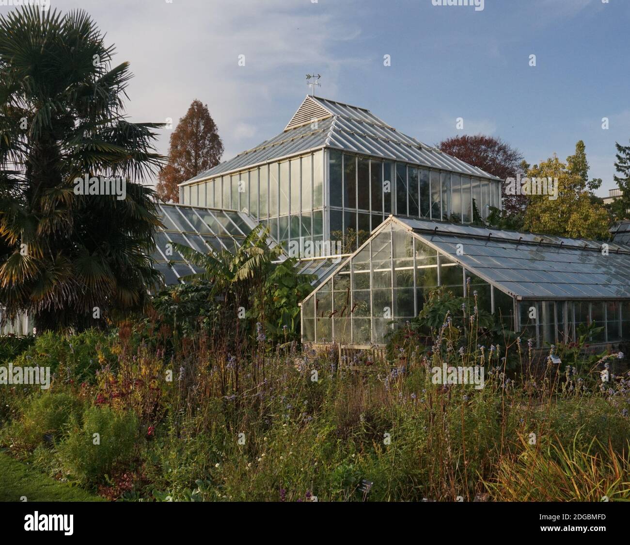 English greenhouse hi-res stock photography and images - Alamy