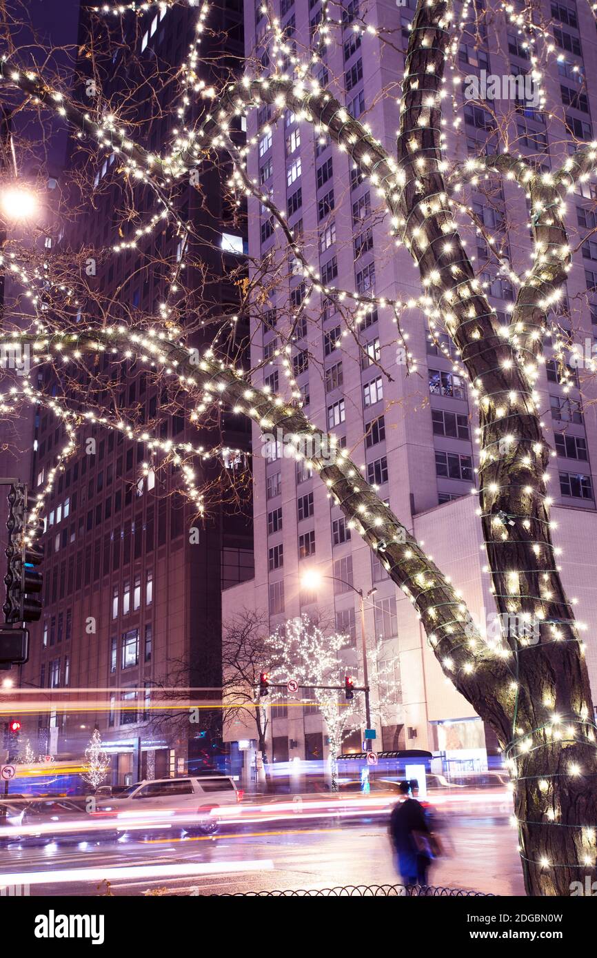 Christmas holiday lights and decorations, Michigan Street, Chicago, Illinois, USA Stock Photo