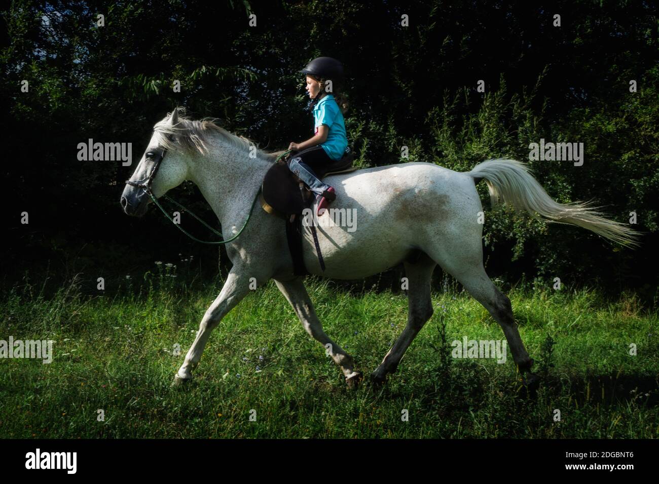 Girl riding a white horse, Poland Stock Photo