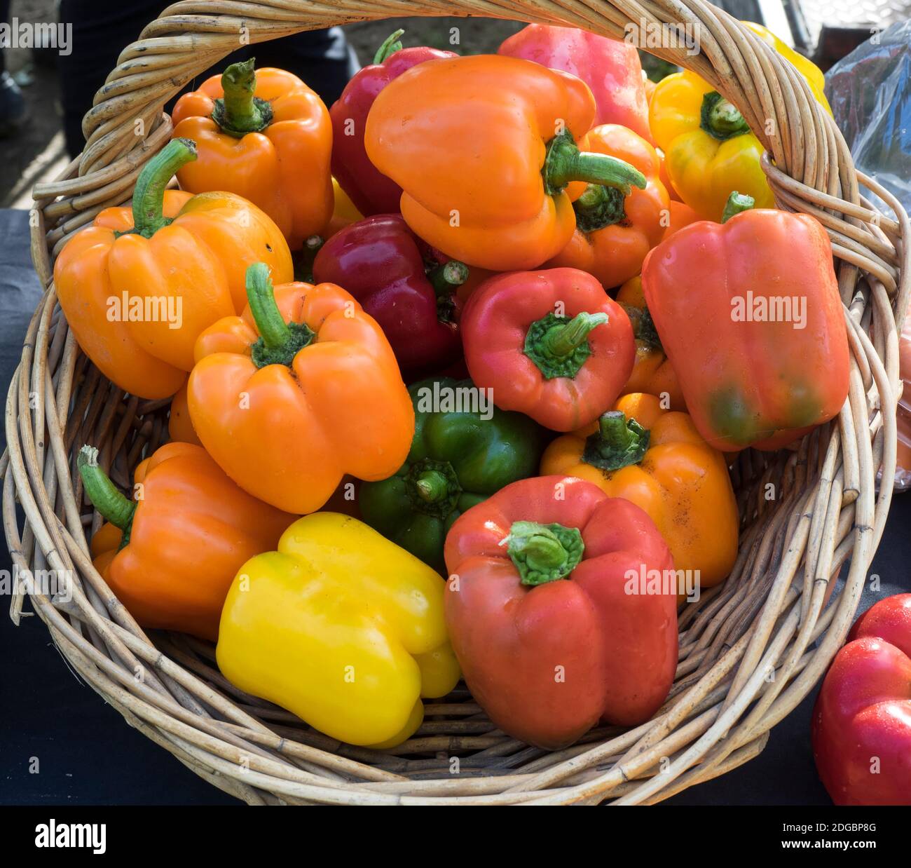 Bell Peppers for sale at street market, Hawke's Bay, Hastings, North Island, New Zealand Stock Photo