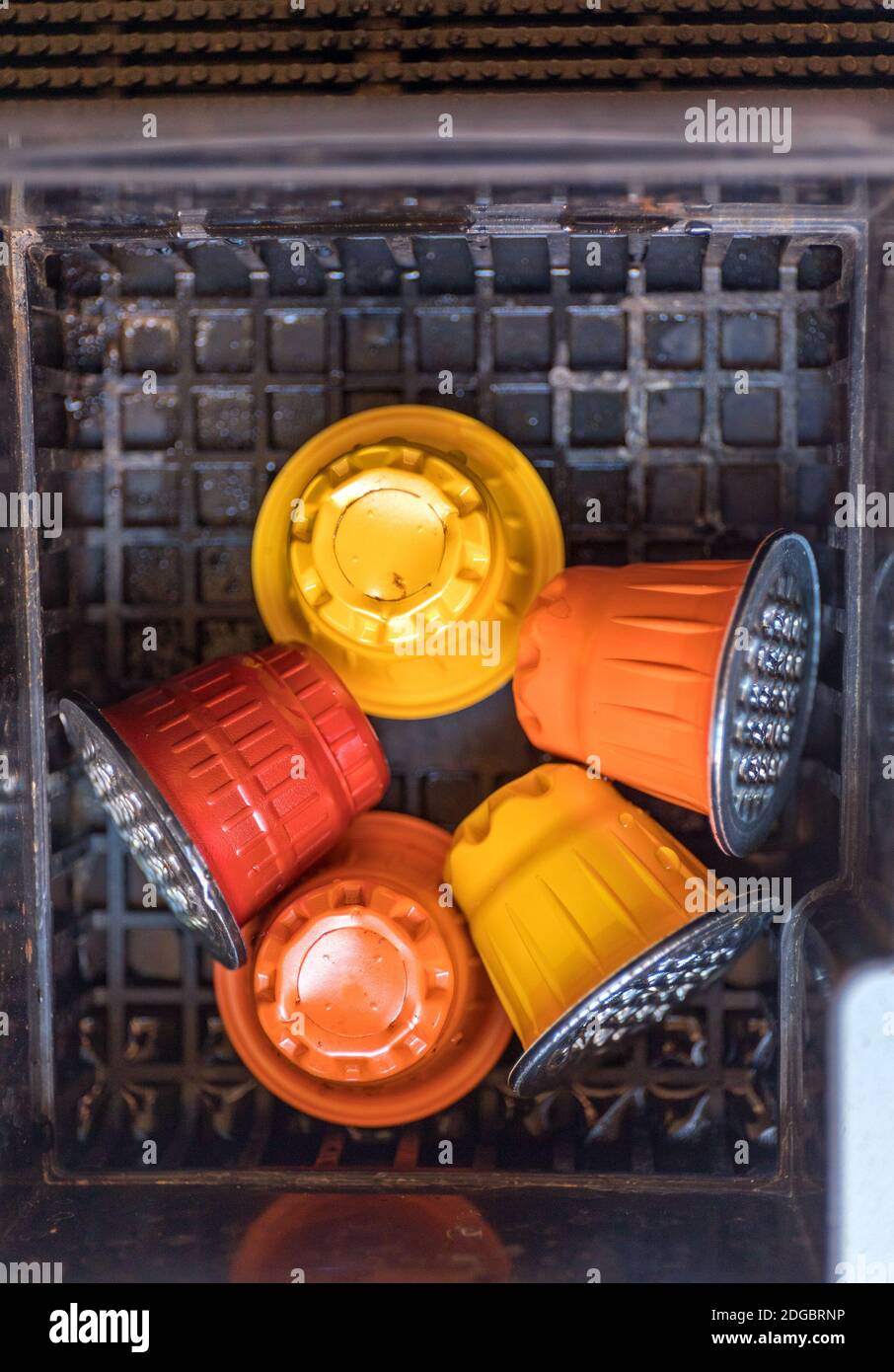 Used Capsule Pods in Coffee Machine Tray Recycling Stock Photo Alamy