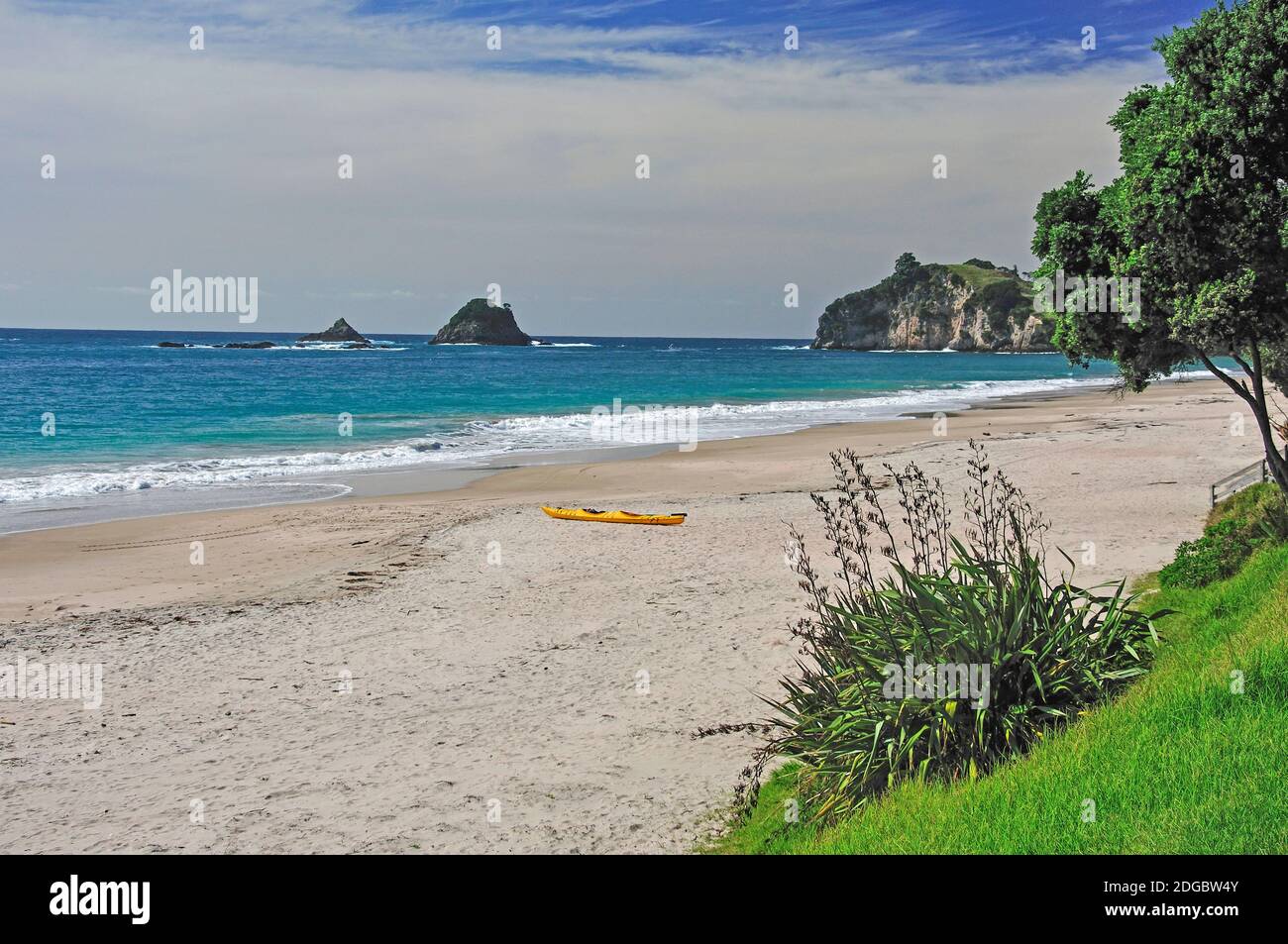 Hahei Beach, Hahei, Coromandel Peninsula, Waikato Region, North Island, New Zealand Stock Photo