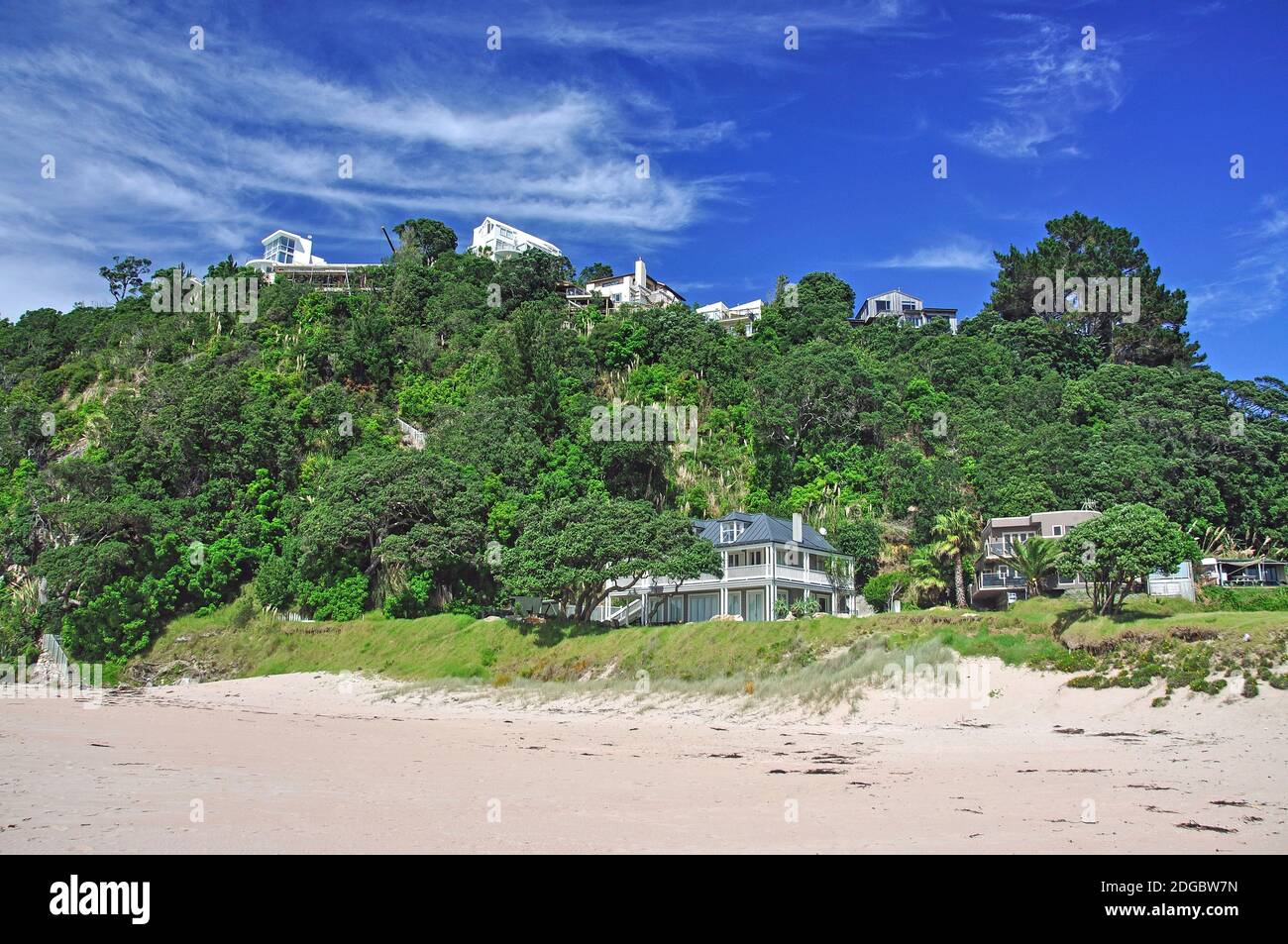 Mount Paku, Tairua, Coromandel Peninsula, Waikato Region, North Island