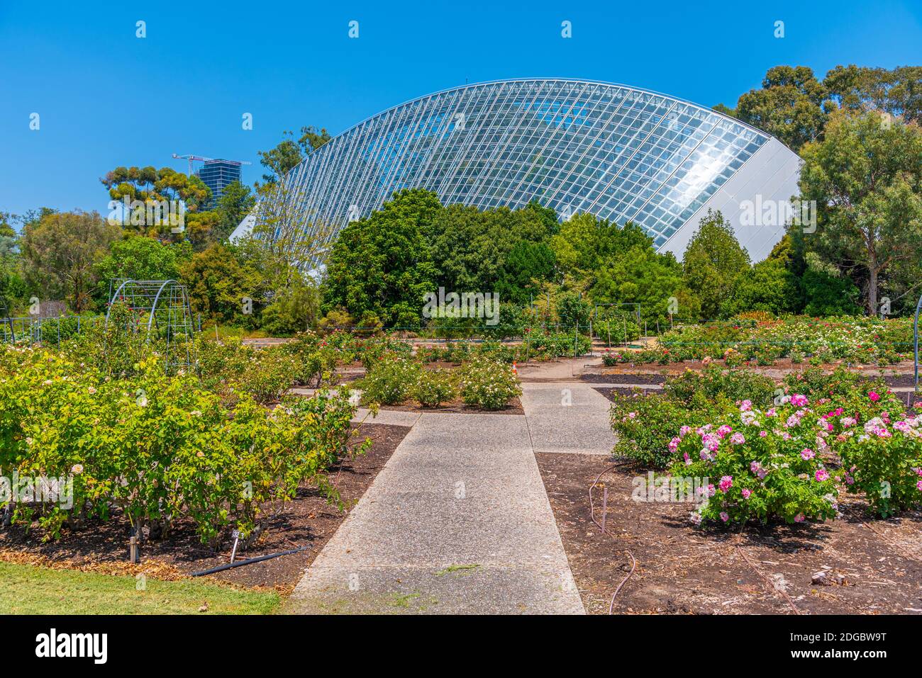 Bicentennial Conservatory at Botanic garden in Adelaide, Australia Stock Photo