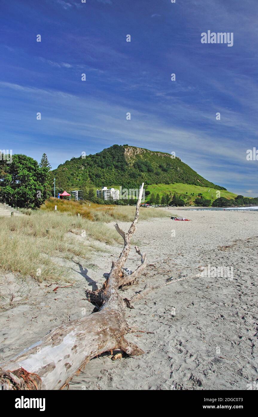 Bay of plenty new zealand beach hi-res stock photography and images - Alamy