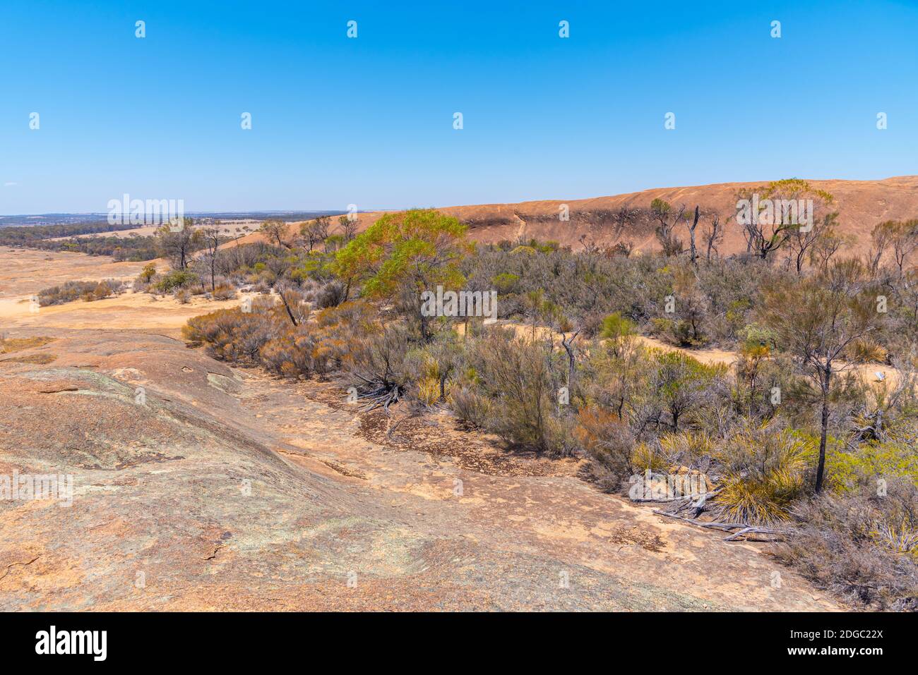 Landscape of Wave rock wildlife park in Australia Stock Photo - Alamy