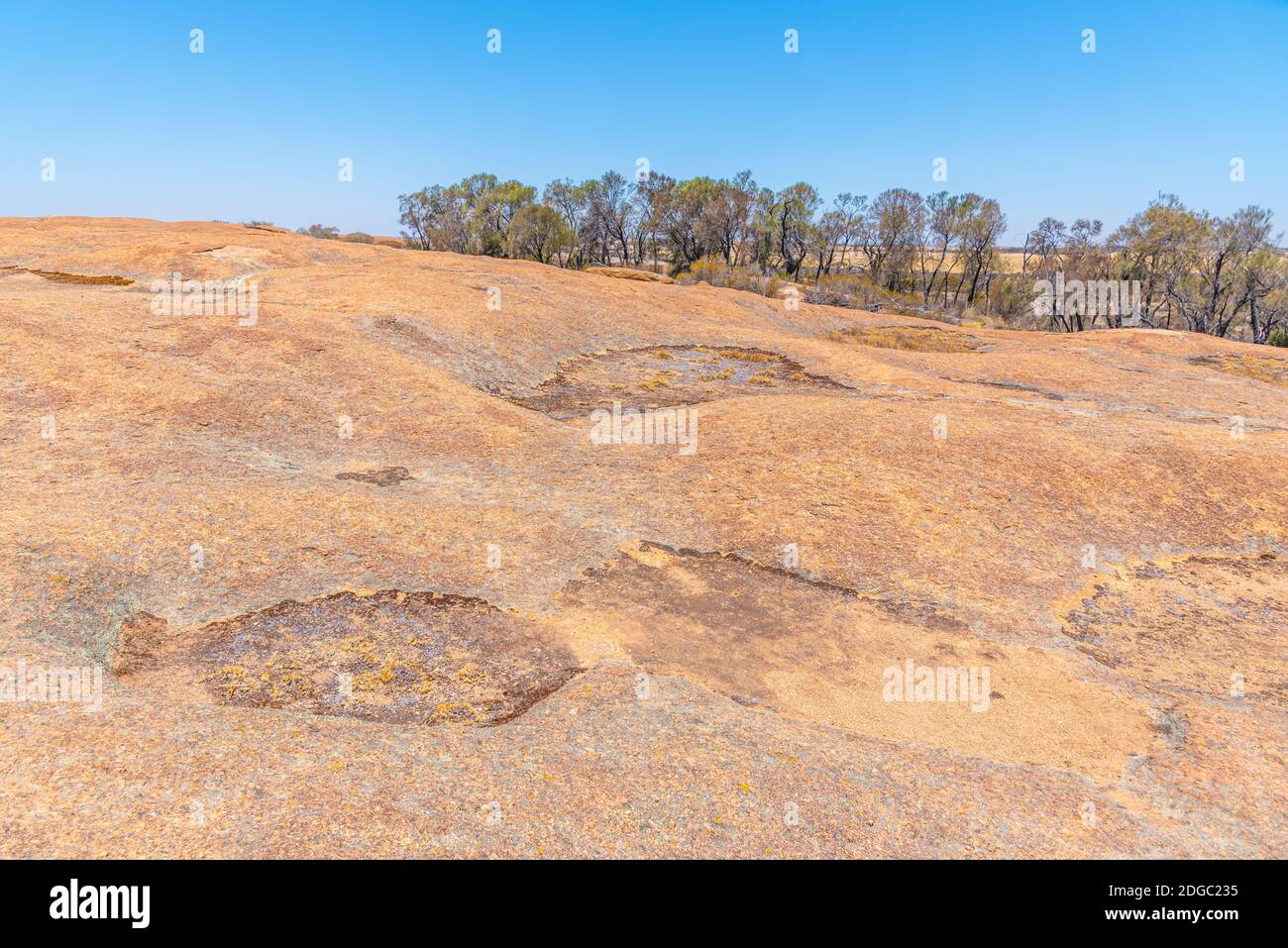 Landscape of Wave rock wildlife park in Australia Stock Photo - Alamy