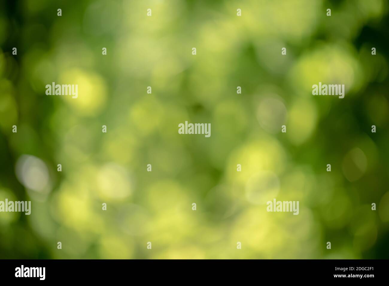 Emerald green color hires stock photography and images Alamy