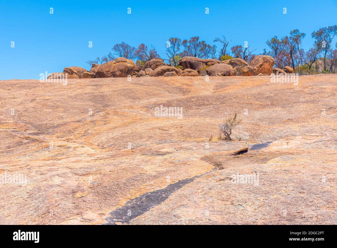 Landscape of Wave rock wildlife park in Australia Stock Photo - Alamy
