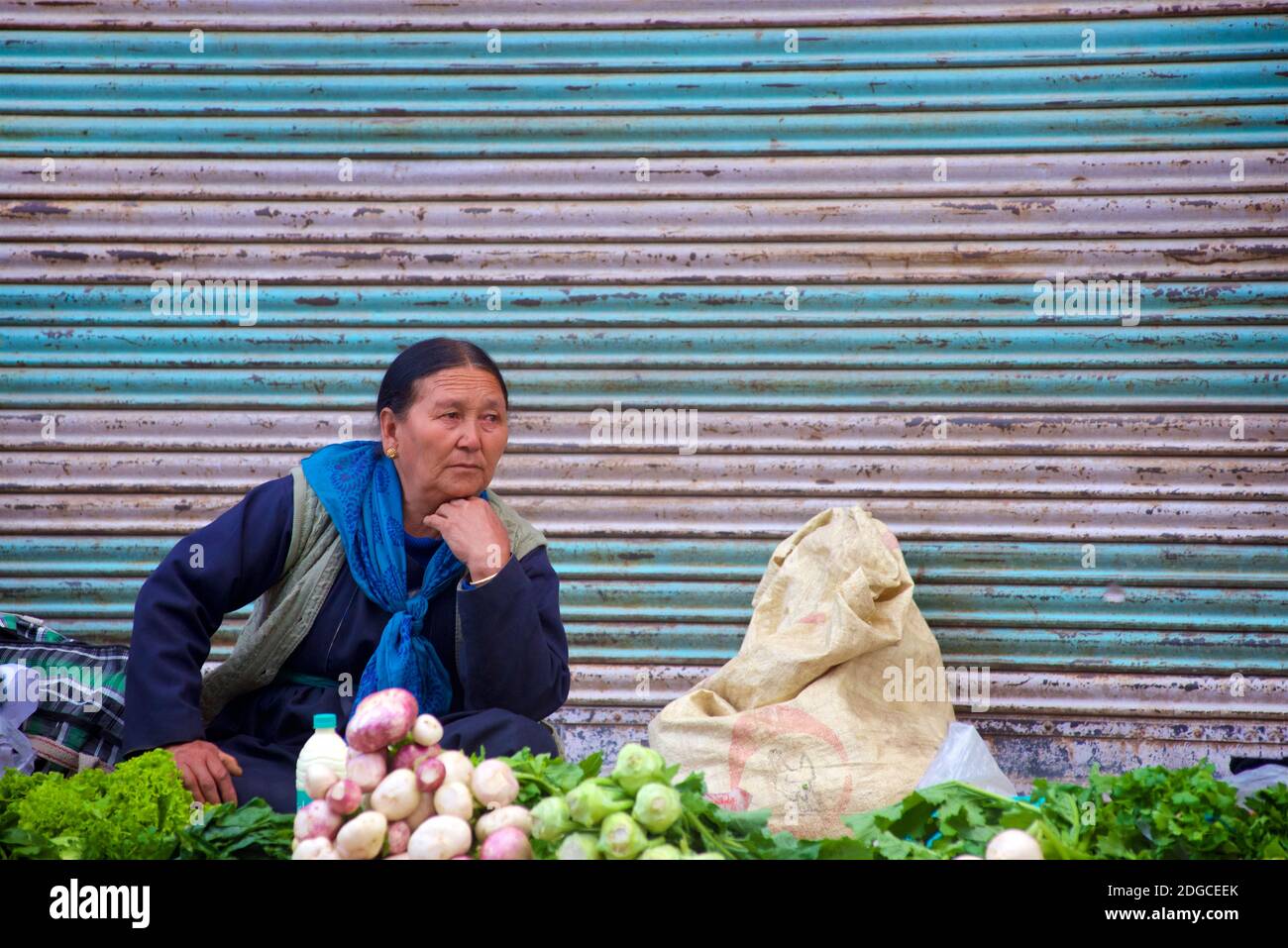 Leh, Ladakh, Jammu and Kashmir, IndiaPortrait of a friendly Ladakhi woman in local attire selling vegetables at market, Leh, Jammu and Kashmir, India Stock Photo