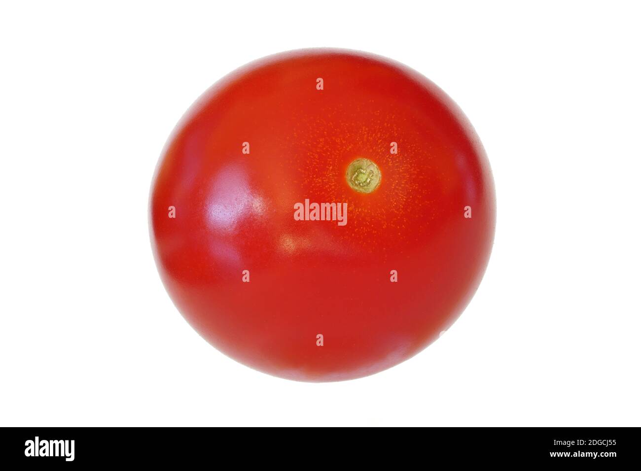 Single small red cherry tomato isolated on white background Stock Photo