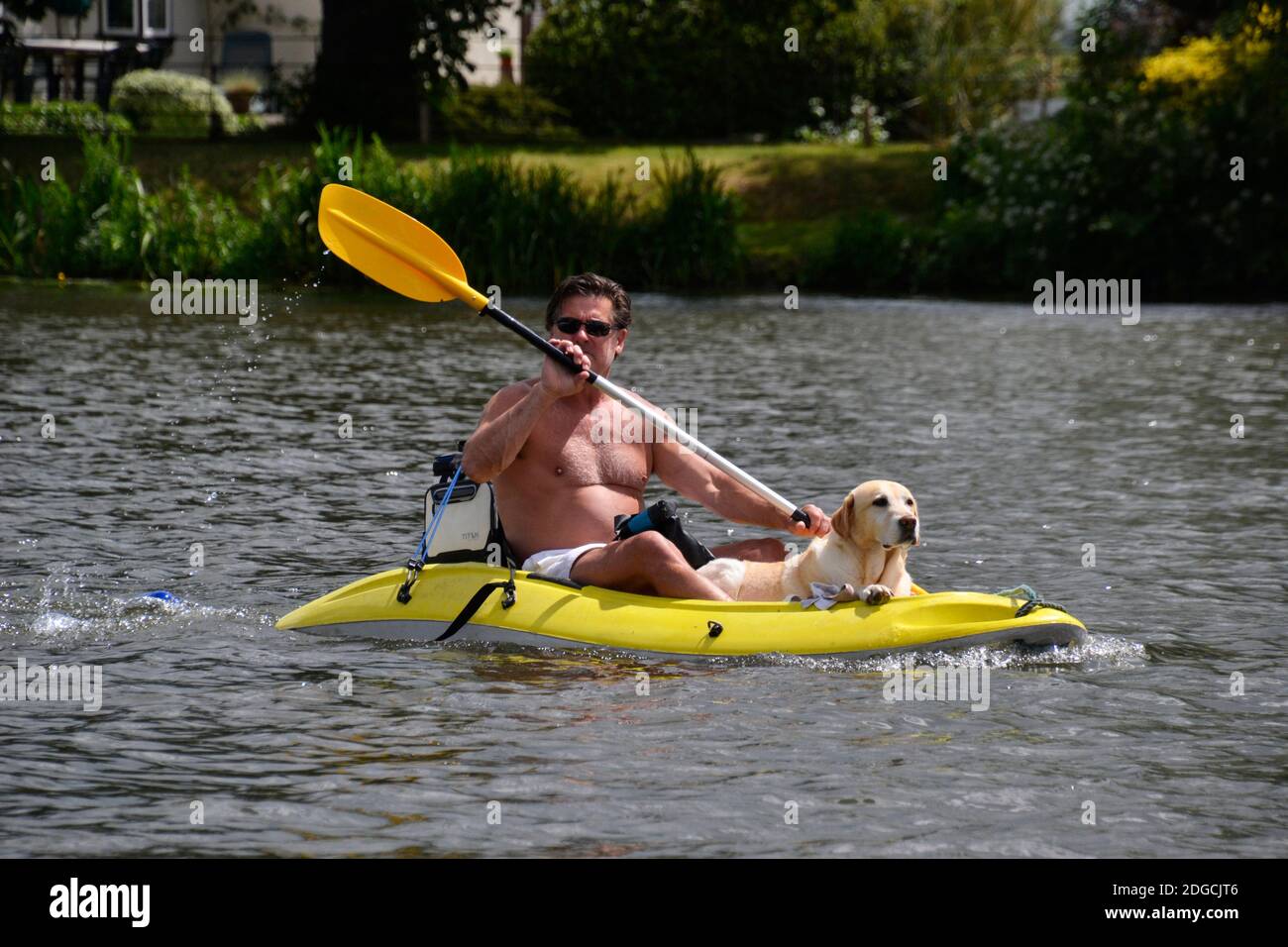 Man kayaking along the River Thames at Bourne End, Buckinghamshire, UK, with his dog. Stock Photo