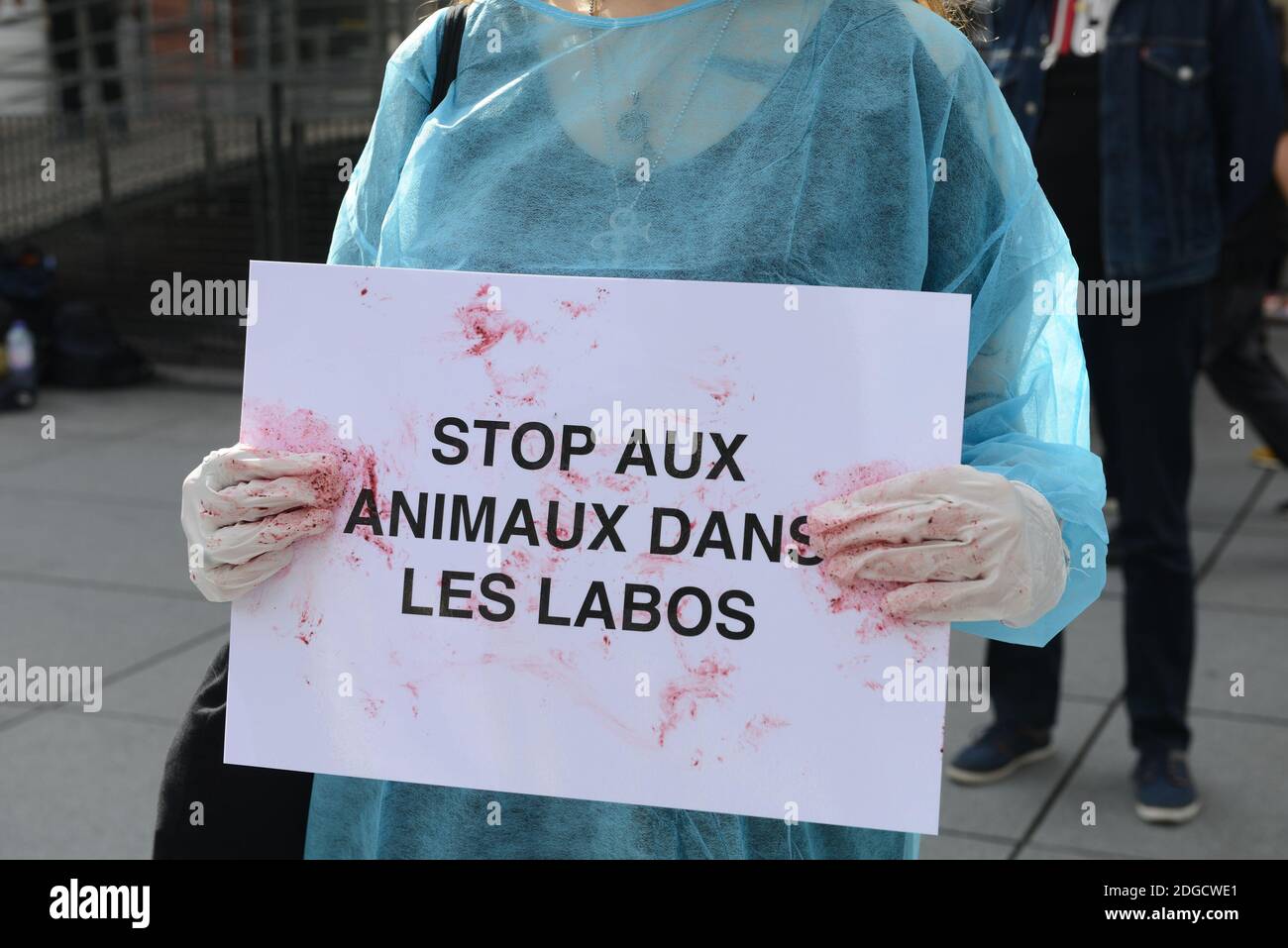 Militants protest against testing on animals in cosmetic industry
