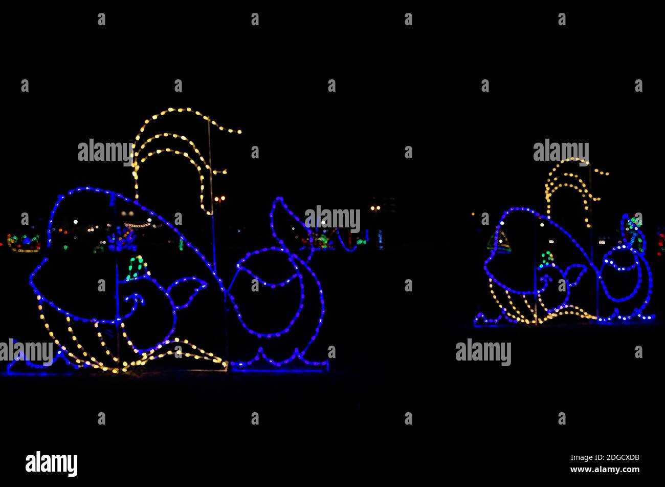 Christmas lights depict two whales during a holiday celebration in