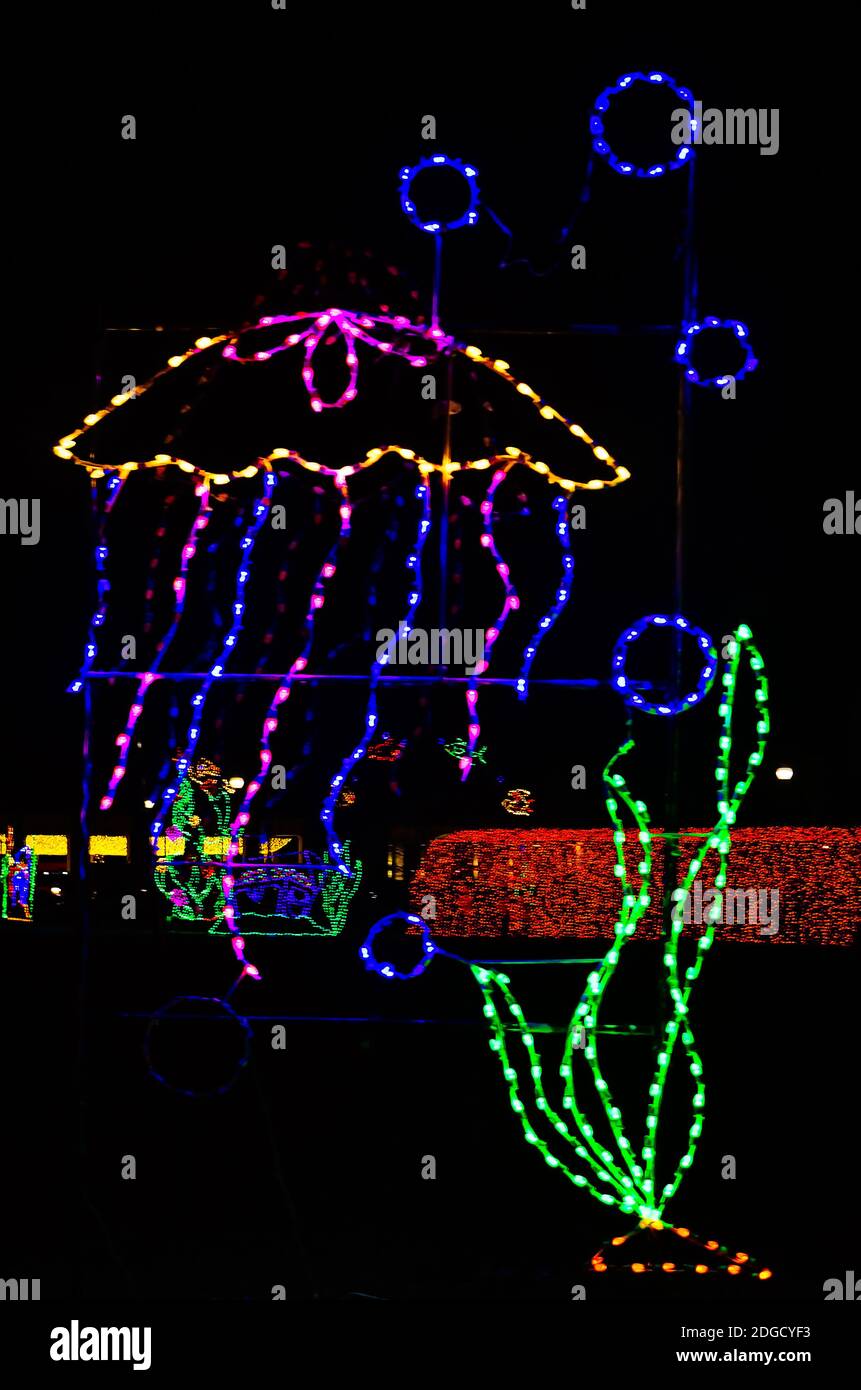 Jellyfish christmas ornament hires stock photography and images Alamy