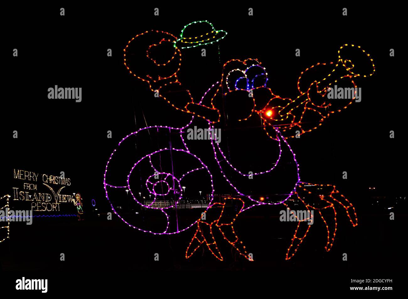 Christmas lights depict a snail playing the trumpet and a Christmas