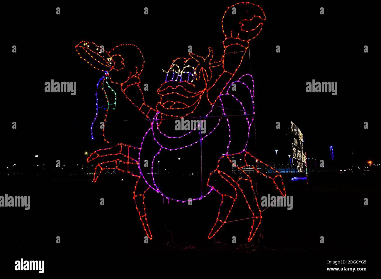 Christmas lights depict a crawfish playing the tambourine during a