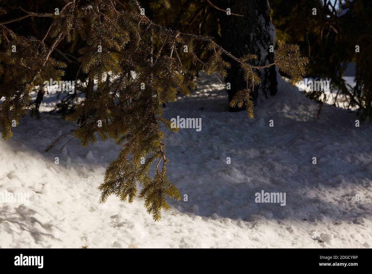 Snowy Log Cabin in the Sun in Lapland Stock Photo - Alamy