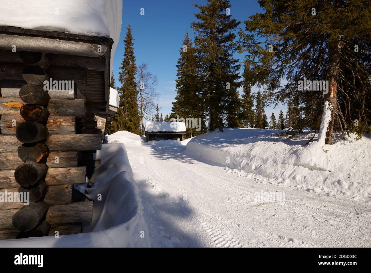Snowy winter landscape in Lapland, Finland Stock Photo
