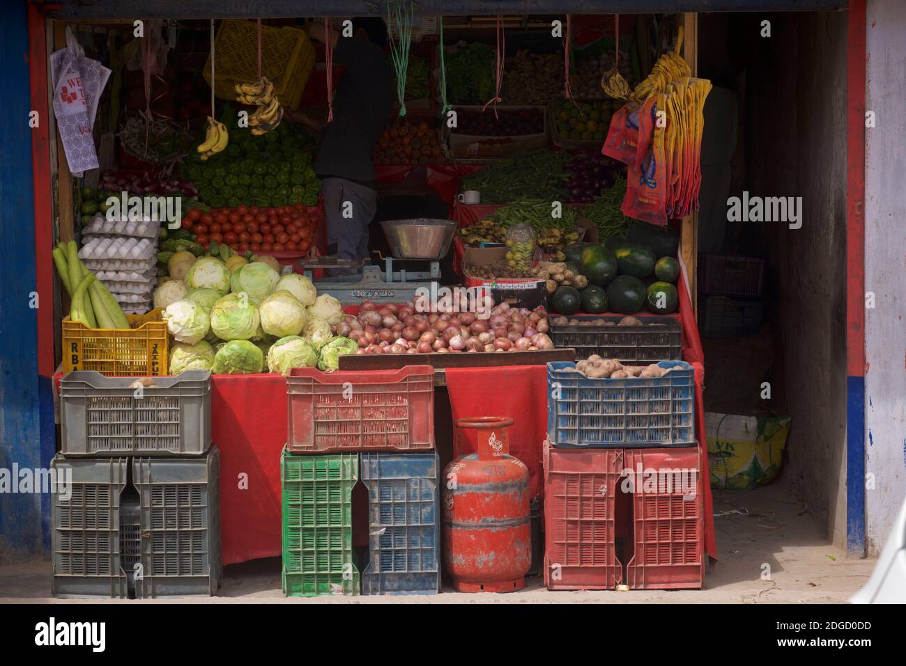 Roadside shop selling vegetables, Kharu, Ladakh, Jammu & Kashmir, India