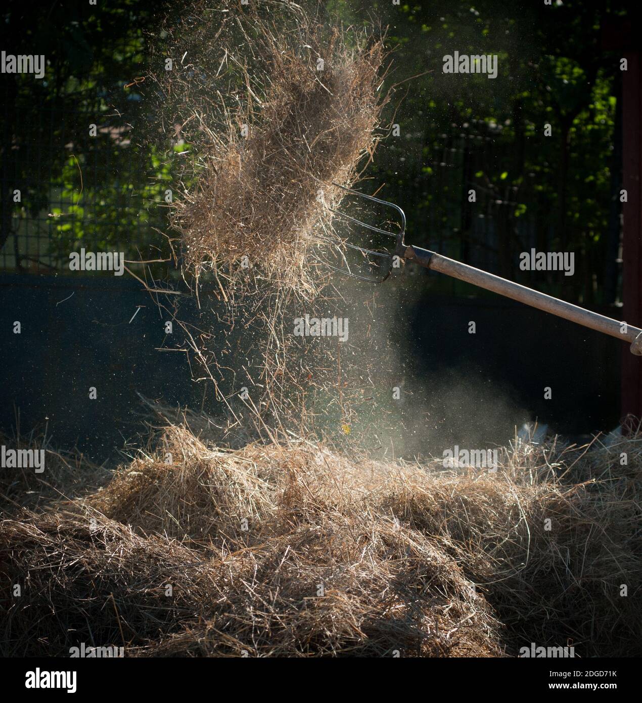 hayfork and hay Stock Photo Alamy