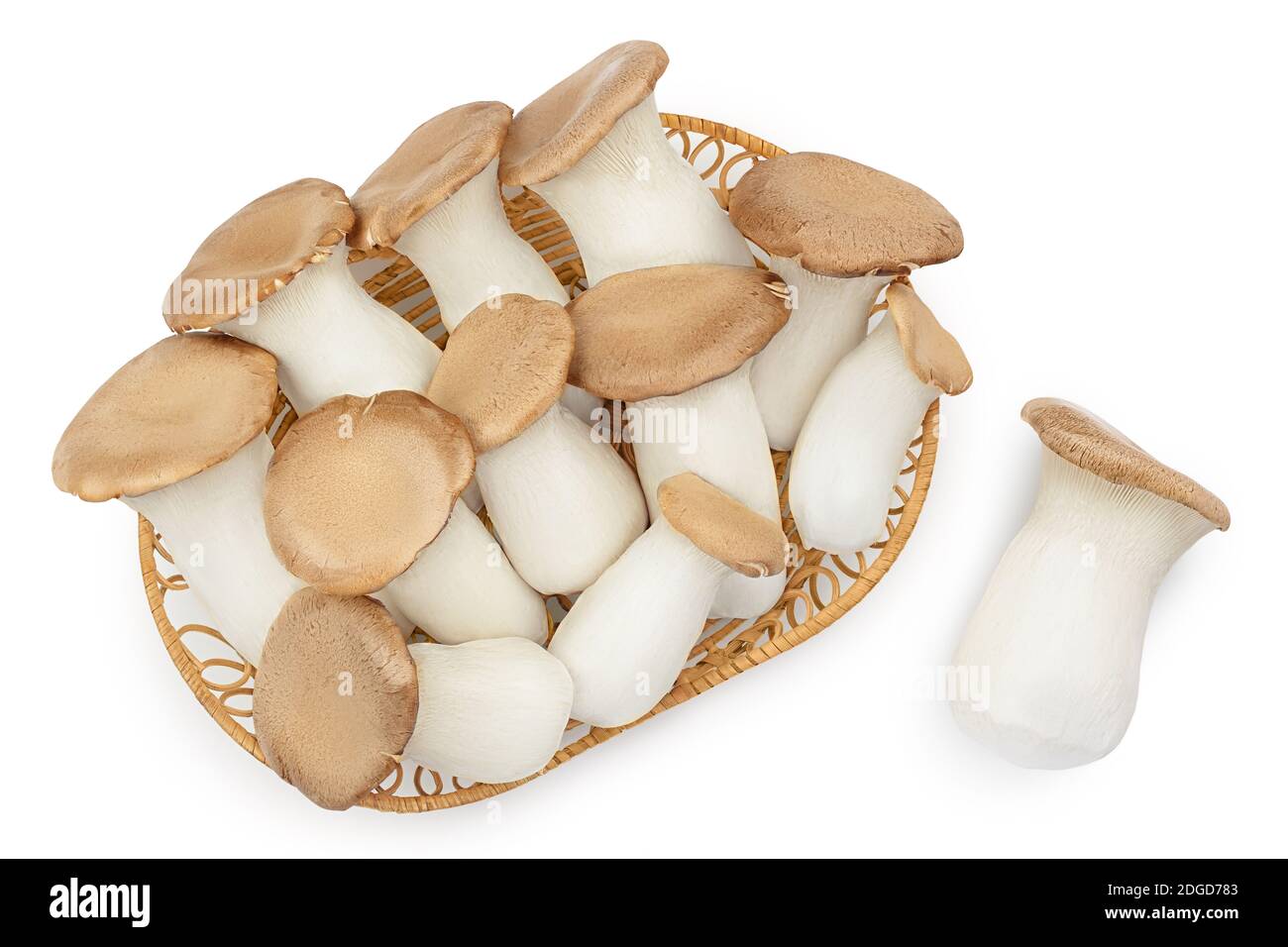 King Oyster mushroom or Eringi in wicker basket isolated on white background with clipping path