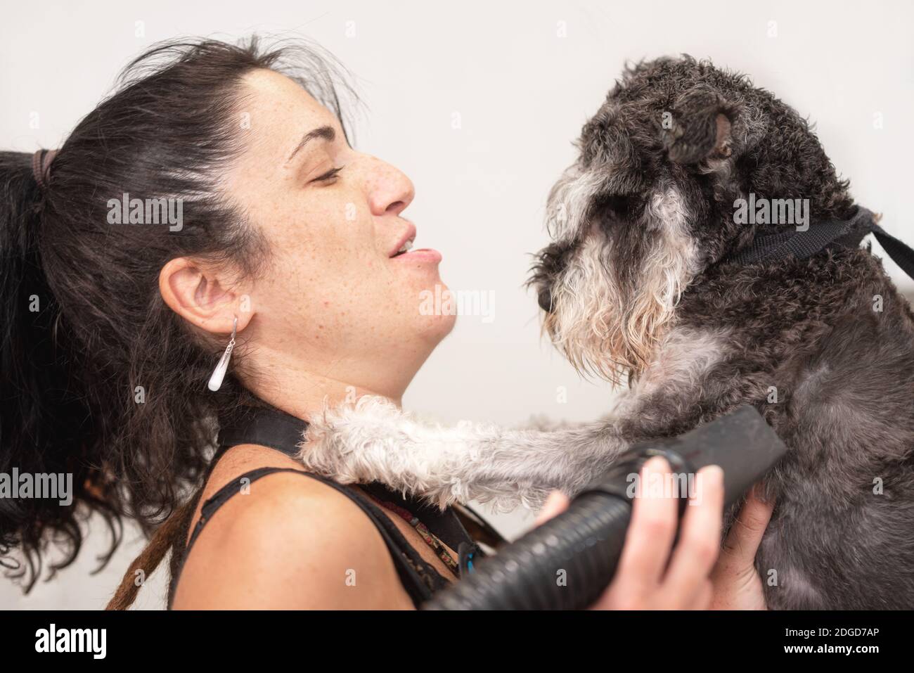 Female pet groomer hugging tenderly a schnauzer dog in grooming salon