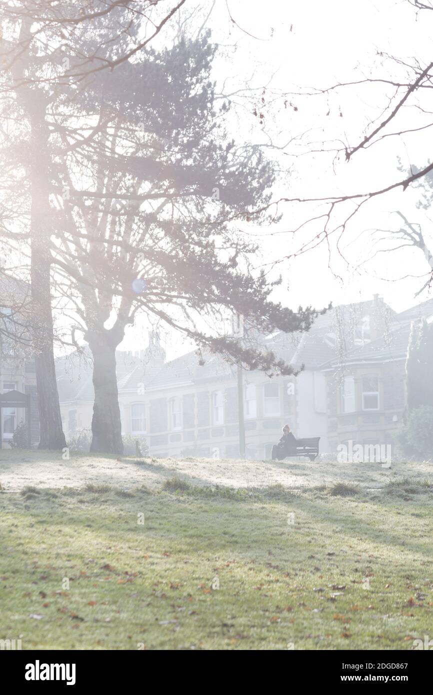 Taking in a misty morning in St. Andrew's Park Bristol Stock Photo