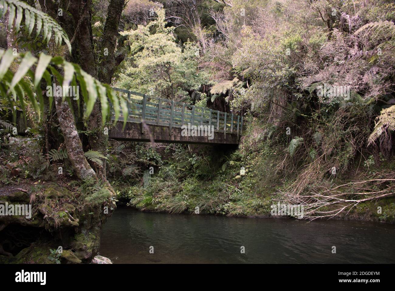 Bridge over the Patea River, King Edward Park, Stratford, Taranaki, New Zealand Stock Photo Alamy
