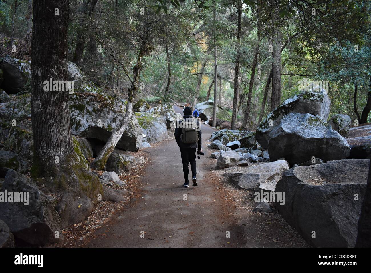A male hiker wearing a backpack and carrying a camera begins to hike along the John Muir and Mist Trails in Yosemite Valley, California, USA. Stock Photo