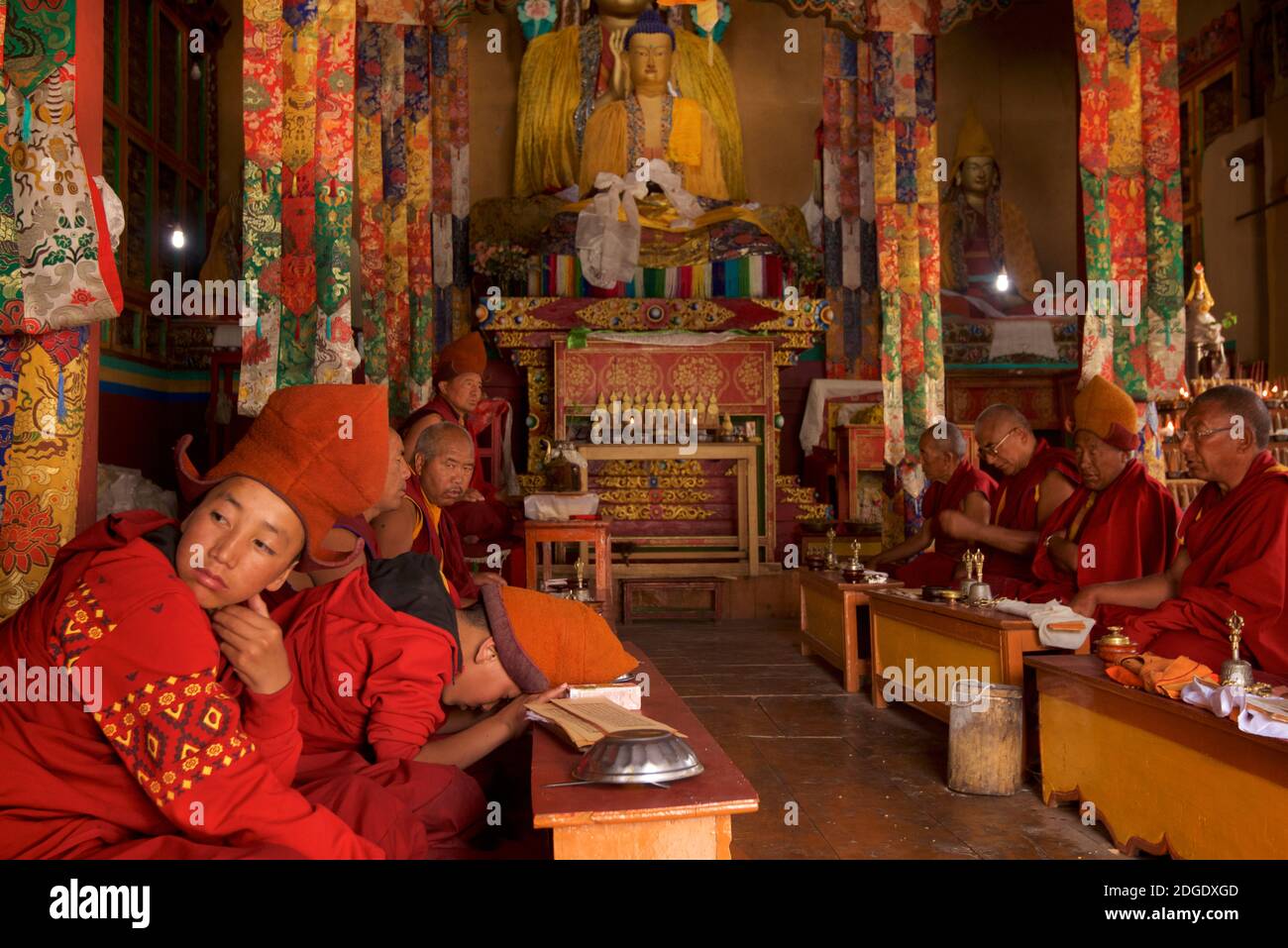 Monks in the prayerhall at Stongdey Monastery,  Zanskar, Ladakh, northern India, approximately 18Êkm north of Padum. The gompa was founded in 1052CE. About 60 Gelukpa monks reside here. Also known as Thongde or Stonde Gompa. Stock Photo