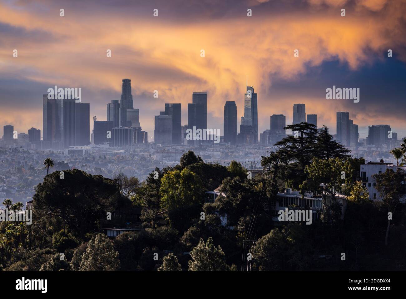Dusk view of tree covered hilltop and downtown Los Angeles from popular Griffith Park near Hollywood California. Stock Photo