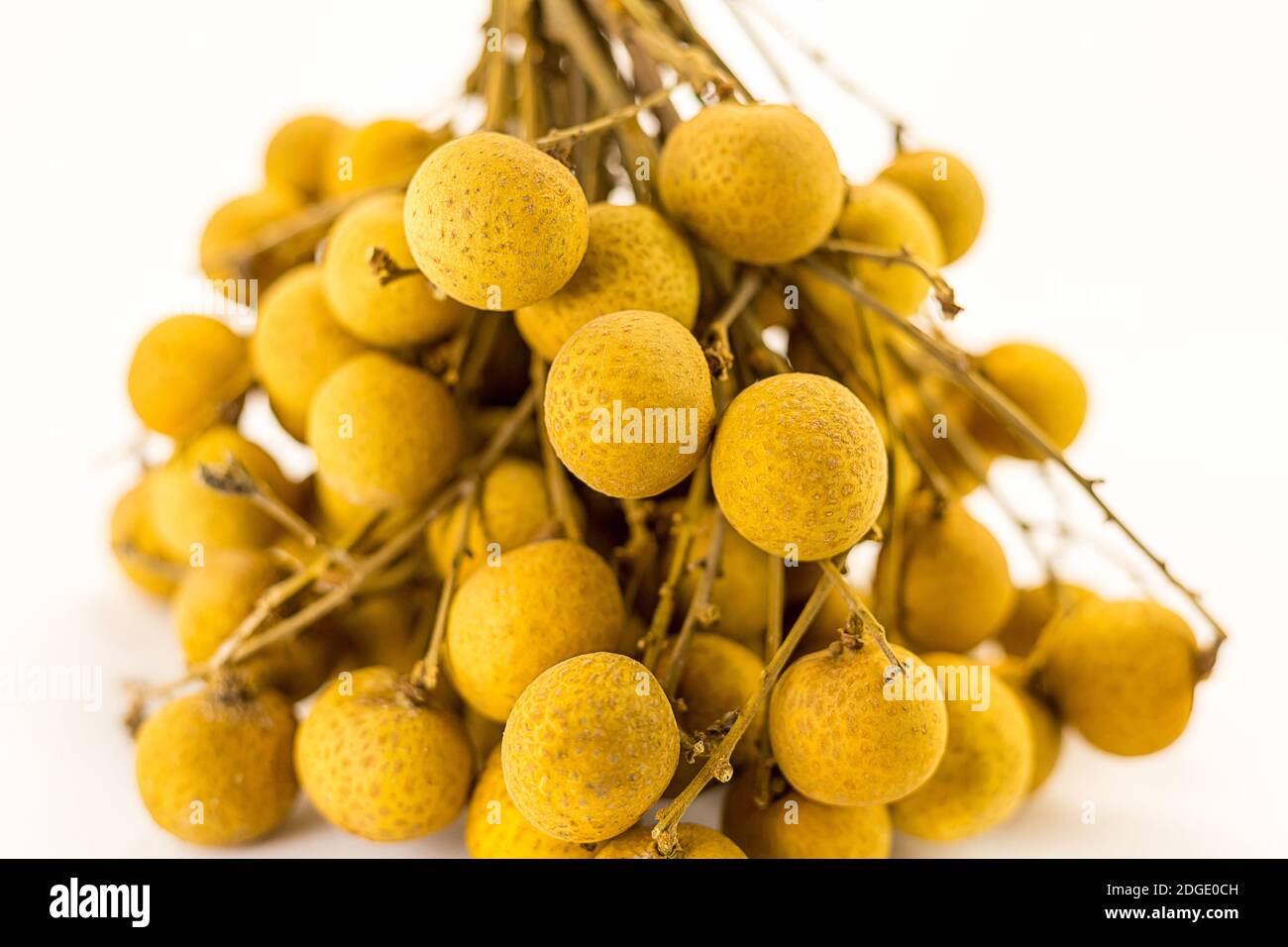 Yellow juicy fruits berries asian fruit longan on a branch close-up on a white background Stock Photo